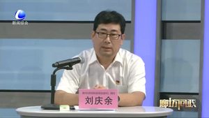 廊坊问政—市区汽车保有量突破35万 车位数量缺口巨大