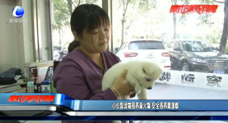 小长假宠物寄养渐火爆 安全寄养需谨慎