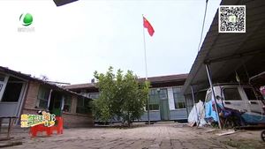 安次区农民自家院里升国旗迎国庆