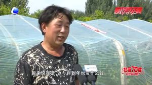 【脱贫攻坚·廊坊在行动】脱贫攻坚步铿锵 携手并进迈小康