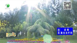 动植物主题绿雕扮靓和平路