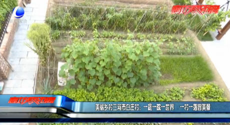 美丽乡村三河市白庄村：一庭一院一世界 一村一落皆美景