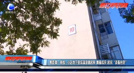 零距离·热线：小区地下室成流浪猫居所 跳蚤成灾 居民“谈蚤色变”