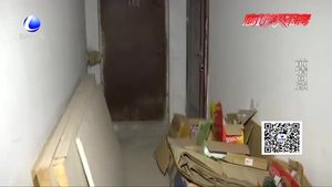 小区地下室成流浪猫居所 跳蚤成灾 物业：已经发布清理公告