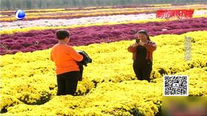 美景在身边 我爱我家乡