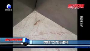 电梯吸烟不文明 烟头乱丢扰环境