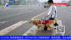 国际盲人节：盲人的世界不只有黑暗 请用爱为他们守护“光明”