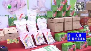 不忘初心 牢记使命 华砚爽：心系群众谋发展