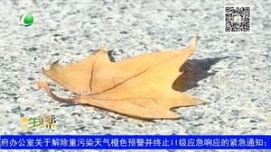 今日霜降 深秋寒凉时