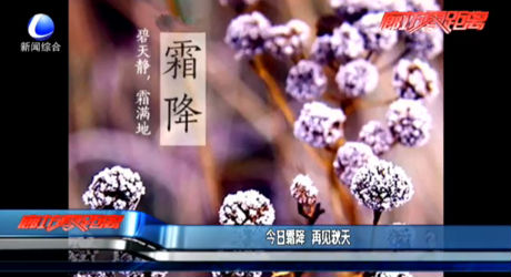 今日霜降 再见秋天