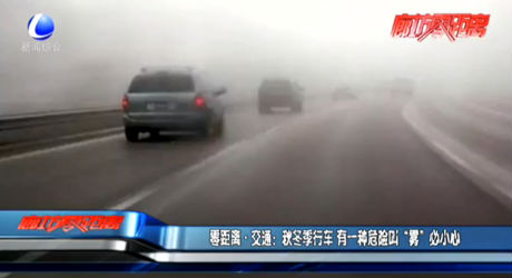零距离·交通：秋冬季行车 有一种危险叫“雾”必小心