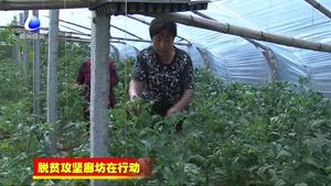 广阳区：多措并举 精准发力 打赢脱贫攻坚战