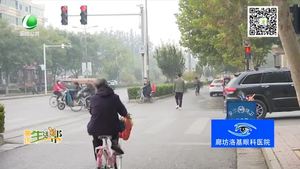 助你文明——心头常亮红绿灯 文明交通伴我行