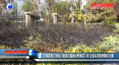 零距离·热线：烧纸引燃绿化带殃及厂房 企业叫苦盼焚烧点迁离
