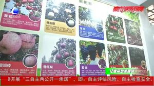 农业插上科技翅膀 新品种新技术闪耀农交会