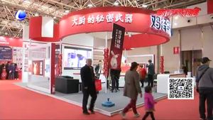 市民文明逛展会 让文明成为最美风景线