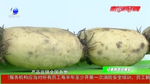 廊坊现代农业园区展 现代农副产品吸引眼球