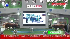 各市区域特色农业展 以品牌展示服务交易合作