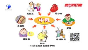 脑卒中可防可治 预防为主 远离卒中