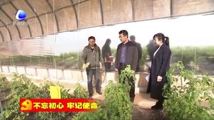 香河县开展农技服务促进农业增效