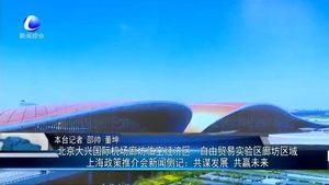 北京大型国际机场廊坊临空经济区1自由贸易试验区廊坊区域上海政策推介会新闻侧记：共谋发展 共赢未来