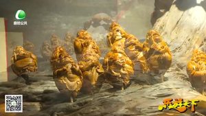 乐游天下 20191108