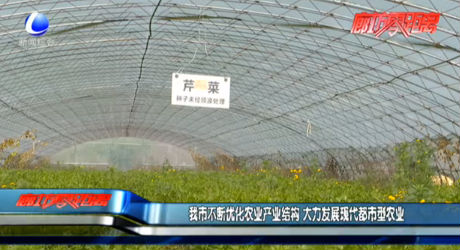 我市不断优化农业产业结构 大力发展现代都市型农业