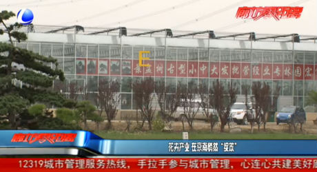 花卉产业 在京南悄然“绽放”