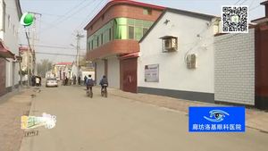 文安县麻各庄村以主题教育促乡村风貌大提升