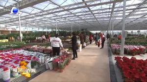 河北恒都美业全力打造创新创业新高地