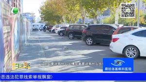 车辆停放不规范 交警：将整治