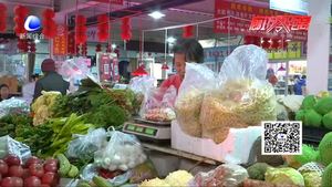 “限塑”实施11年 绿色生活仍在路上