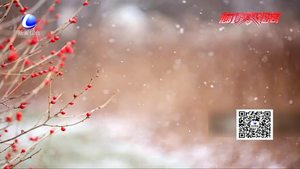 今日“小雪”：花雪随风不厌看 一片飞来一片寒