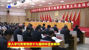 三河市委召开六届五次全会学习贯彻党的十九届四中全会省委九届九次全会和市委六届八次全会精神