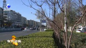 本周气温较低 周末或迎来今冬首场降雪