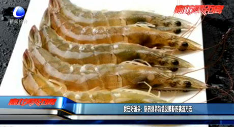 食在好源头：虾的营养价值及鲜虾的挑选方法