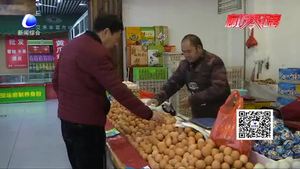 鸡蛋价格持续回落 价格回稳趋于“蛋定”