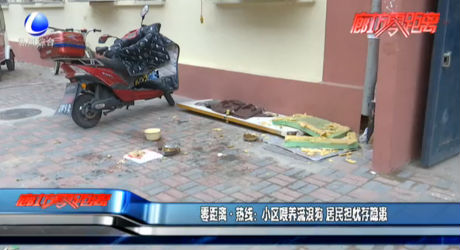 零距离·热线：小区喂养流浪狗 居民担忧存隐患