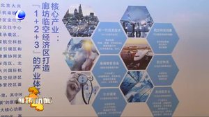 廊坊临空经济区·自贸试验片区招商发布会侧记：加快迈向“航空大都市”