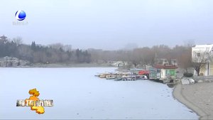 本周我市天气以多云为主 大风降温比较明显