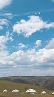 《联播》传送：徜徉在如画般的大草原