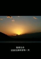 《联播》传送：生命之光