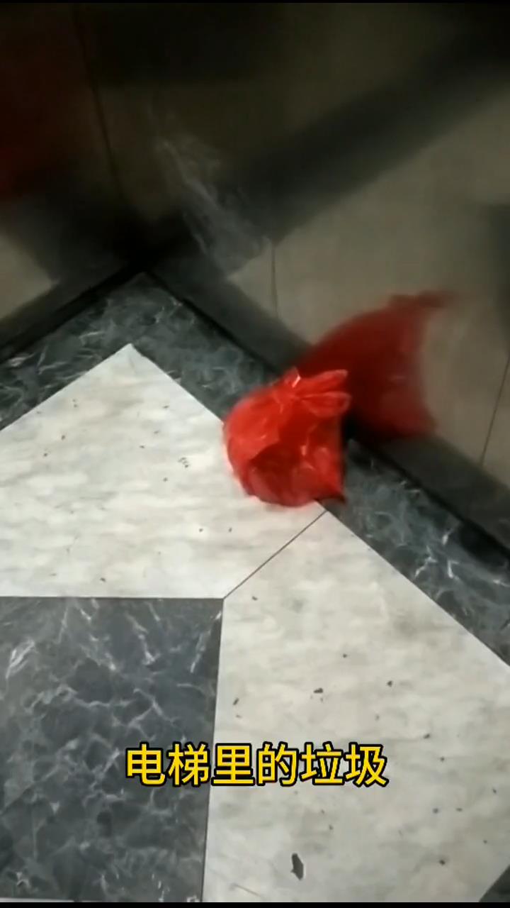 《廊坊零距离》传送 电梯里的垃圾袋