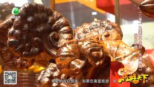 乐游天下 20191227