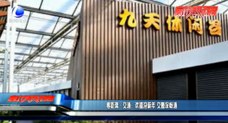 零距离·交通：欢喜迎新年 交警保畅通