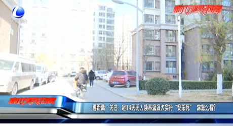 零距离·关注：超14天无人领养流浪犬实行“安乐死” 你怎么看？