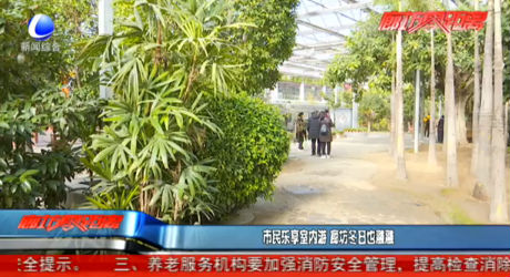 市民乐享室内游 廊坊冬日也融融