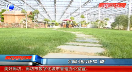 出门旅游 这些不文明行为太“添堵”