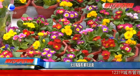 元旦氛围浓 鲜花走俏