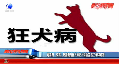 零距离·求真：那些流传至今的狂犬病谣言 医生帮你解答